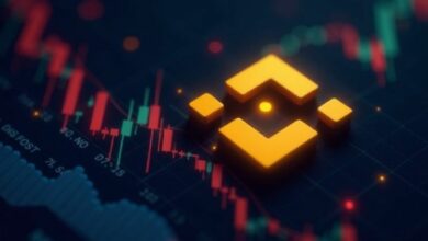 سلسلة بينانس تطلق هارد فورك فيرمي لتعزيز سرعة المعاملات بنسبة 40%