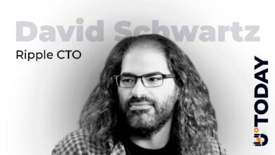 رئيس التقنية في ريبل يوضح سبب عدم حاجة شبكة XRP ليدجر إلى المعدنين أو العقود الذكية
