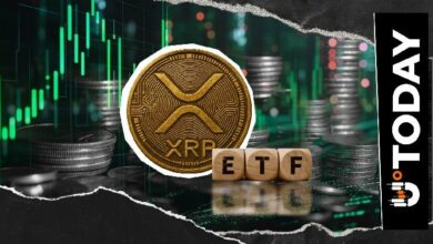 صناديق XRP ETF تحقق أرباحاً في يومين تفوق نتائج الأسبوع الماضي بأكمله
