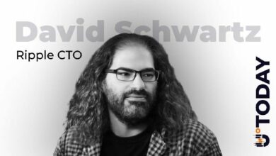 رئيس التقنية في ريبل ينفي إلزامية استخدام ميزات الامتثال في التمويل اللامركزي