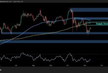 تحليل سعر البيتكوين: BTC لا يزال مُهددًا بهبوط دون 100 ألف دولار amid ارتداد ضعيف