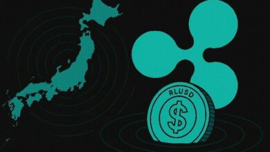 ريبل بالدولار الأمريكي تكتسب زخمًا بين المنظمات غير الحكومية العالمية لتقديم المساعدات الإنسانية الفورية