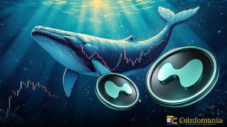 رهان حوتي بقيمة 3 ملايين دولار يهز سوق العملات الرقمية! تحرّك ضخم للـ USDC يُشعل صدمة بيع Zcash القصير