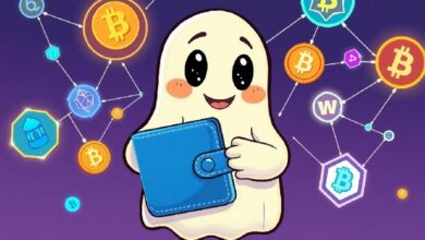 محفظة فانتوم تطلق دعم HyperEVM: تكامل ثوري في عالم البلوكشين