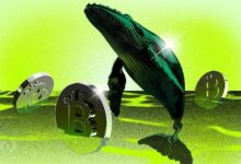 الحيتان تشتري بهدوء عند الانخفاض بينما يختبر البيتكوين دعم 100,000 دولار