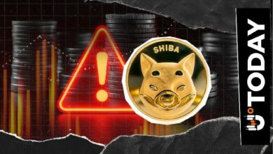 تحديث أمني مفاجئ لعملة Shiba Inu: ما الذي يستفيده حاملو SHIB وما الدافع وراءه؟