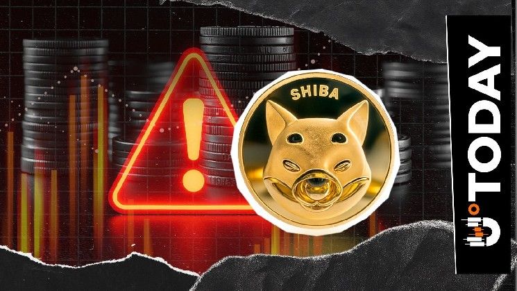 تحديث أمني مفاجئ لعملة Shiba Inu: ما الذي يستفيده حاملو SHIB وما الدافع وراءه؟