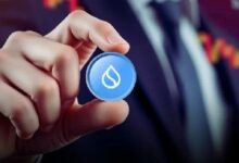 ارتفاع توكن SUI بأكثر من 10% مع تضاعف المعروض من العملات المستقرة