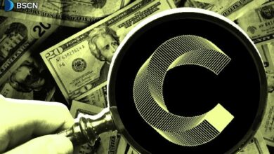 كانتون كوين (CC): دليلك الشامل لفهم "كانتونوميكس"