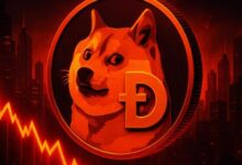 توقع سعر Dogecoin: هل ينتعش DOGE في ديسمبر أم يهبط لمستويات أدنى أولاً؟