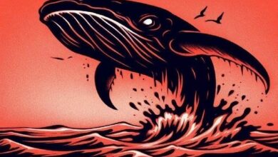 بينما يهبط سعر البيتكوين تحت 94 ألف دولار.. ماذا تفعل الحيتان الكبيرة؟