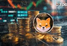 تراجع حاد في نشاط عقود SHIB الآجلة amid تحول السوق المفاجئ