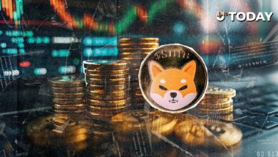 تراجع حاد في نشاط عقود SHIB الآجلة amid تحول السوق المفاجئ