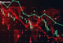 بيتر شيف يحذر: البيتكوين قد يواصل الانخفاد مع اختبار معنويات المستثمرين لمستويات حرجة