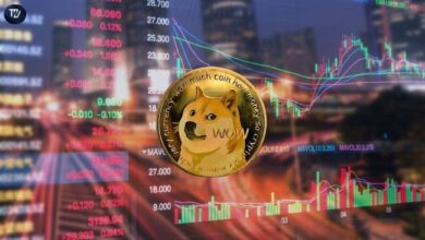 إعدادات دوجكوين "الصاعدة بجنون" التي ستُطلق صعوداً بنسبة 600% إلى دولار واحد