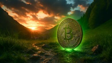 الإشارات الخمس التي تحرك سعر البيتكوين حالياً وتأثيرها المباشر على محفظتك الاستثمارية