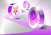 منصة Pump.fun تتوسع بعيداً عن أصول عملات الميم: ما مصير PUMP؟