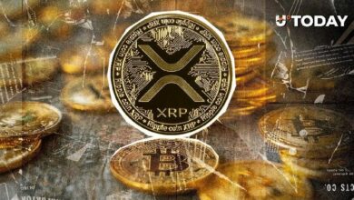 خبير رأسمالي: على XRP أن ينفصل عن البيتكوين لإنهاء التقلبات