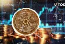 كاردانو تعاود الصعود إلى 0.54 دولار: هل وصل السعر إلى القاع؟