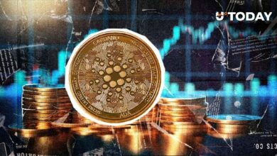 كاردانو تعاود الصعود إلى 0.54 دولار: هل وصل السعر إلى القاع؟