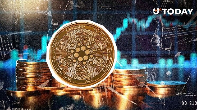 كاردانو تعاود الصعود إلى 0.54 دولار: هل وصل السعر إلى القاع؟