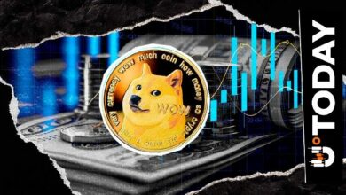 دوج كوين يصل إلى وول ستريت: كل التفاصيل