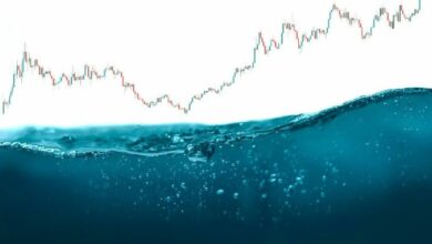 دور ومكانة مزودي السيولة في الأسواق الرقمية