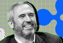 أخبار XRP: رئيس ريبل براد غارلينغهاوس يعلن بدء سباق صناديق الاستثمار في XRP