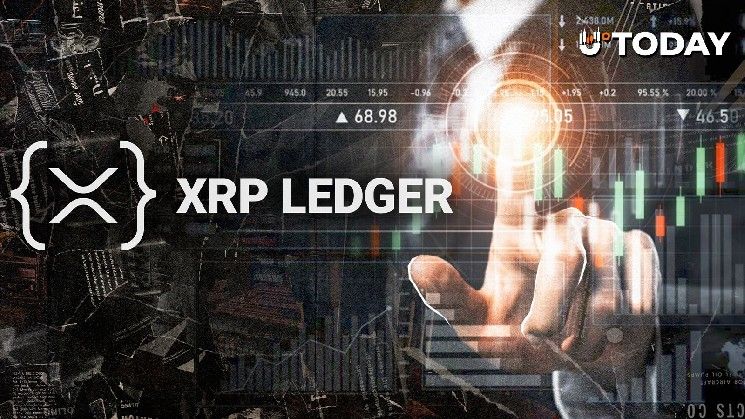 مطور XRP الرئيسي: سجل XRP يحتاج إلى أكثر من التدقيق والهاكاثون