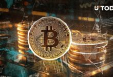 البيتكوين يسجل اختلالاً في التصفيات بنسبة 512.73% مع عودة السعر إلى 94,000 دولار