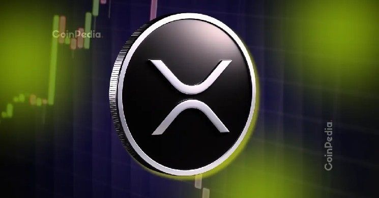 أخبار ريبل: سعر XRP يهبط دون 2 دولار وسط سباق صناديق الاستثمار المتداولة وبيت وايز تطلق إنذارًا مبكرًا