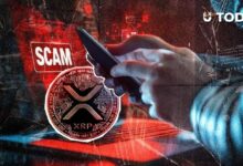 انتبهوا مستخدمي XRP: تحذير عاجل من منصة Uphold بشأن عملية احتيال جديدة