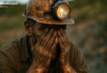 سعر الهاش بتكوين يهوي لمستوى قياسي متدنّي والمعدنون يواجهون تضاؤل هوامش الربح