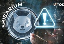 فريق Shiba Inu يكشف عن تحديث أمني حاسم لشبكة Shibarium: كل التفاصيل