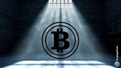 ارتفاع مفزع في عمليات اختطاف حاملي العملات الرقمية في روسيا