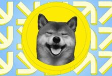 محلل يحذر: انتهاء الصعود الصاروخي للدوجكوين إذا لم تبدأ موجة صاعدة الآن