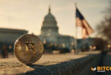 إشارة جديدة لذروة البيتكوين تظهر: مؤشر السوق الهابطة الذي لا تتمنى رؤيته