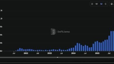 أفضل 5 منصات دي إي إكس للعقود الدائمة للمتابعة في 2024