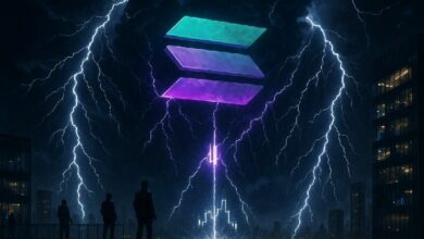 انخفاض حجم تداول ميم كوين على سولانا دون 5%