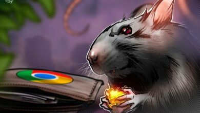 محفظة كريبتو رابعة على متجر Chrome تستطيع سرعة عبارات البذور للمستخدمين