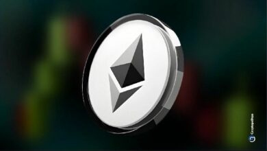 رئيس الاستثمار في SharpLink يوضح: شركة احتياطي الإيثيريوم لم تبيع عملات ETH