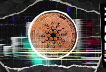 عطل مفاجئ في شبكة كاردانو الرئيسية: ما الذي يحدث؟