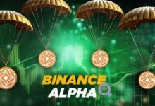 بينانس ألفا أول من يُدرج GAIB في 19 نوفمبر ويعلن عن إطلاق الإيردروب والعقود الآجلة