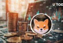 خسارة 19 مليار دولار في 24 ساعة: فرصة جديدة تلوح لعملة شيبا إينو (SHIB)