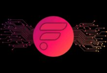 "Firelight" تطلق شبكتها الرئيسية على "Flare" في نوفمبر مع اقتراب القيمة الإجمالية المقفلة للنظام البيئي من ذروتها التاريخية