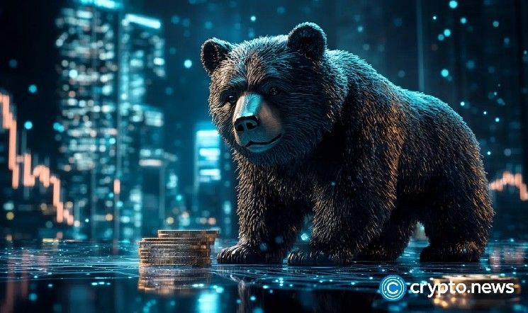 سعر شبكة كانتون يهبط 30% بعد الإدراج في بورصات كبرى