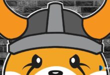 فلوكي 2025: أبرز التحديثات والمُنجزات المعزِّزة لمكانته في صناعة البلوكشين