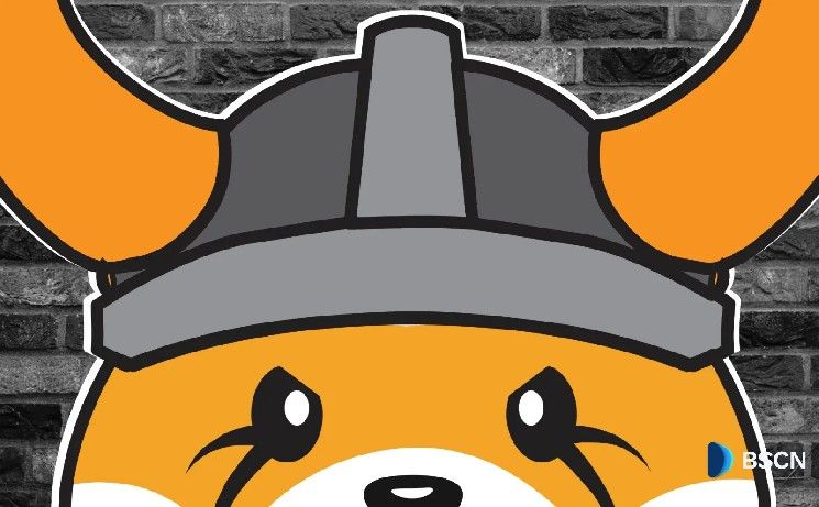 فلوكي 2025: أبرز التحديثات والمُنجزات المعزِّزة لمكانته في صناعة البلوكشين