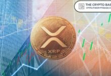 هدف XRP الكلي 50 دولاراً مع تأكيد المحلل استمرار الموجة الصاعدة