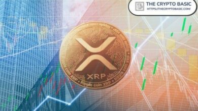هدف XRP الكلي 50 دولاراً مع تأكيد المحلل استمرار الموجة الصاعدة